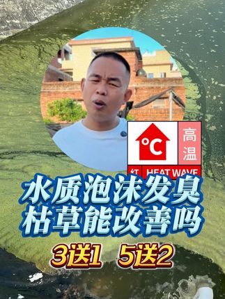 水质泡沫发臭能用枯草来改善吗?#水产人 #水产养殖技术 #鱼虾蟹养殖 #四大家鱼养殖#水产养殖