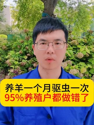养羊一个月驱虫一次吗?95%的养殖户都做错了 #农村创业养殖 #养羊 #养羊创业 #养羊技术分享 #养羊驱虫
