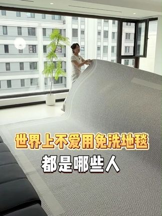 ~世界上不爱铺免洗地毯的都是哪些人 #好物推荐🔥 #客厅软装 #免洗地毯 #源头实力厂家 #鸿荔达