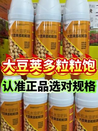 大豆荚多粒粒饱 认准正品选对规格#大豆种植 #大豆管理 #大豆高产 #大豆荚多粒粒饱