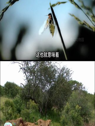 #在抖音入手的好东西
