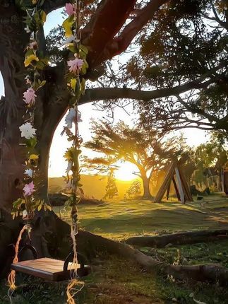 猫咪狗狗不能频繁水洗,脏了臭了就用这个免洗手套嘎嘎好用! 猫咪狗狗不能频繁水洗,脏了臭了就用这个免洗手套嘎嘎好用!#宠物免洗手套 #宠物湿巾 #宠物湿巾 #宠物洗澡