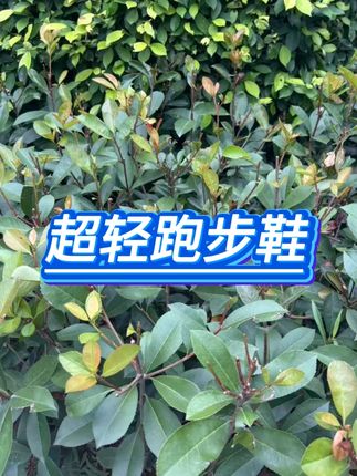 超轻跑步鞋  #网面透气  #防滑减震  #学生运动