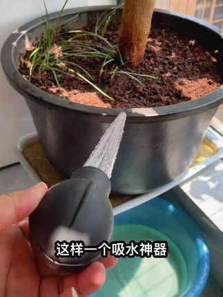 花盆托盘吸水器 解决底座积水难题 大容量抽水水滴管 园艺养花实用小工具#吸水器 #抽水器 #实用小工具 #抽水泵 #抽水机