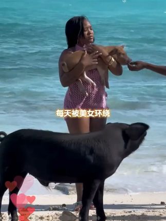 #巴哈马 真是个神奇又好玩的国家#海外生活 #罐头瓶子在荷兰 #面霜推荐 #羊胎素