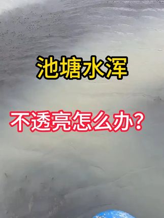 223#水产养殖 浑水起蓝藻高温雨后浓绿水使用复合肥水肽