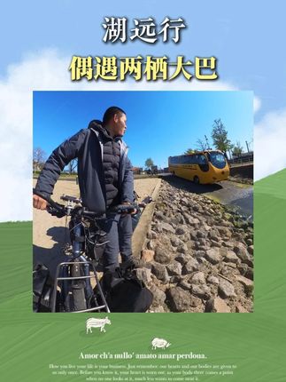 户外博主湖远行国外旅行,意外邂逅超有意思的水陆两栖大巴!@湖远行 #湖远行 #千万生活dou来拍 #湖的环球之旅 #湖的环球梦 #记录真实生活