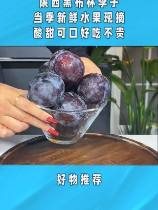 今年黑布林大李子产量真高呢把树枝都压断了,不便宜卖都不行了#超便宜超划算 #自家果园 #果园直发 #d