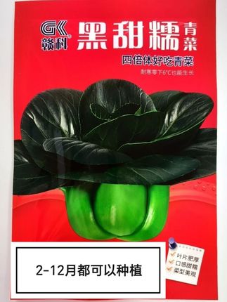赣科牌黑甜糯青菜种子高产耐寒适合秋季播种家庭种植品种##四季青菜种 #小青菜 #黑甜糯青菜种子 ##青菜种植 #青菜种子