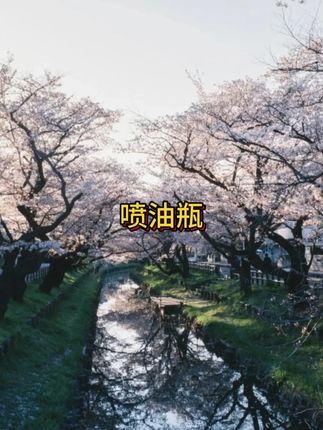 这个喷油壶真的很好用,喷倒二合一,不论喷油还是倒油都不会挂油,倒油清理也方便,不沾不挂很实用#喷油壶 #喷雾油瓶 #抖音美好丰收节 #在抖音入手的好东西 #无限回购的宝藏单品
