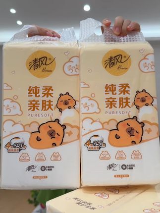 大品牌也来卷了!清风和卡皮巴拉联名款悬挂抽纸,这个价就到手10大提,百分百原生木浆纸质量嘎嘎好,好看又实用,闭眼囤!#柔软让世界出彩#纸巾 #清风
