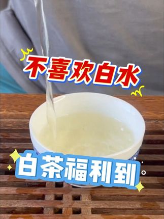 一款送人送礼都很棒的茶,价格更是绝绝子! 你以为白茶都一样?这些独特口感让你大开眼界!#茶饮推荐 #高品质茶叶 #白毫银针 #召唤茶友 #茶马世家