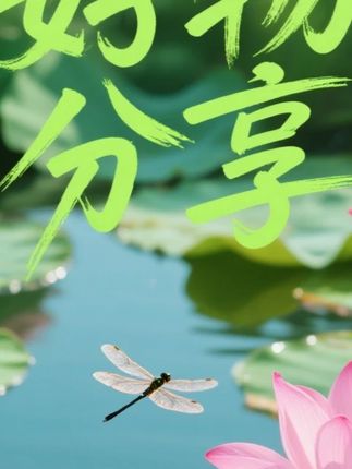 孩子喜欢的#房子积木 来喽,孩子安静的能玩好久#专注力 #动手能力 #想象力 都有啦,孩子拼成后成就感满满