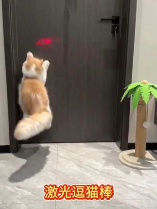 激光逗猫棒!USB 充电款,红外线自嗨,猫咪解闷神器超好用