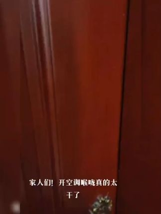 三喷雾大容量静音加湿器 #静音加湿器 #大容量 #小型办公加湿 #无线充电加湿 #加湿器推荐