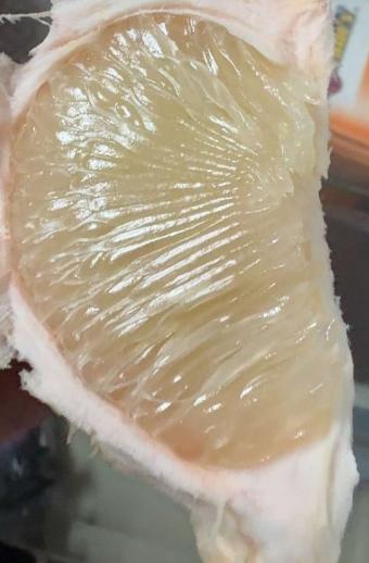 没有“虾线”的柚子终于上市啦!超级好剥皮超级治愈~#文旦柚 #秋天的第一个柚子 #柚子的正确剥法 #柚子 #新鲜应季水果