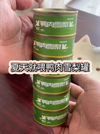 懂得家长都会这么干 夏天就喂鸭肉雪梨罐罐 #它亲 #鸭肉雪梨猫罐头