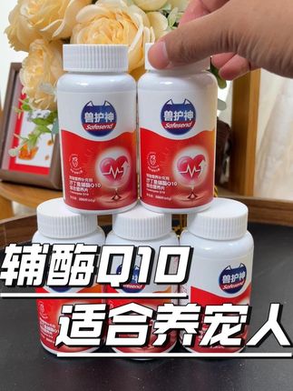 小型犬老年犬肥胖犬一定要注意这些问题#猫咪 #狗狗 #心脏病 #宠物心脏病 ##辅酶