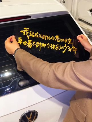 我站在儿时的小巷回头望 再也看不到那个快乐的少年郎 …#望故乡 #于冬然版望故乡一听就落泪 #少年郎 #故乡 #车贴