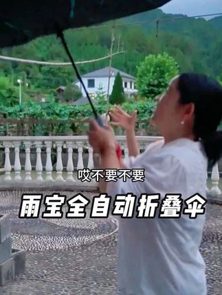 这个雨伞真的无敌了#弗兰克夫妇 #生活好物推荐