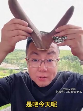 鹿茸片40克送10克泡水泡酒煲汤 #鹿茸片 #滋补佳品
