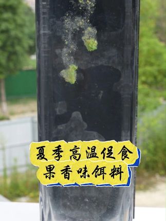 夏季高温就别用老三样了,试试这款清爽促食的饵料#果香味饵料 #钓鲫鱼 #钓鱼的乐趣只有钓鱼人懂 #钓鱼技巧
