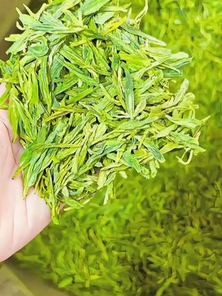 茶八戒2025鲜爽明前龙井茶新茶嫩芽耐泡豆香浓郁高山绿茶罐装#龙井茶 #爱喝茶的关注我