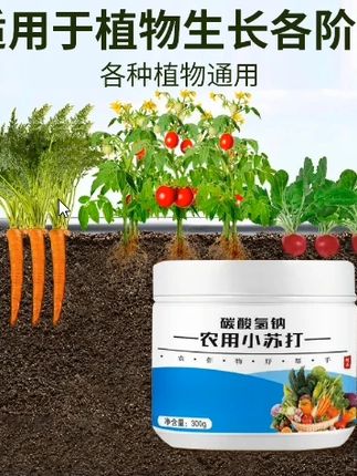 小苏打是个宝~种菜真是少不了#小苏打的妙用 #分享农业知识帮农民增产增收#种植小技巧