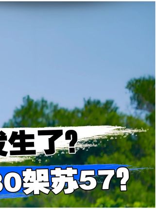 中方担心的事发生了?俄罗斯已同意,紧急交付印度30架苏57#军事科技 #进口食品 #军事迷