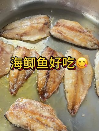 海鲫鱼片野生调味海鲫鱼片 #海鲫鱼 #海鲫鱼片 #鲫鱼 #鲫鱼片 #鱼片