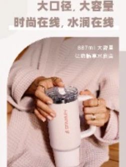 STANLEY不锈钢真空旅行户外便携随行车载家用专属保温保冰杯#大容量保温杯推荐 #巨无霸保温杯 #大容量吸管杯推荐 #巨无霸水杯 #不锈钢保冷杯