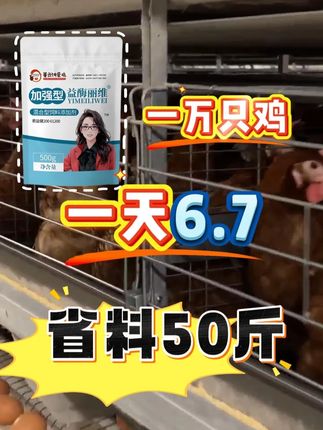 一万只鸡一天6.7,省料50斤 #董云讲蛋鸡 #省料 #调理肠道菌群 #蛋壳质量变好 #蛋鸡养殖