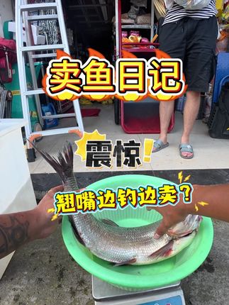 翘嘴太好卖了 边钓边卖,识货的还是多#摆摊创业 #翘嘴