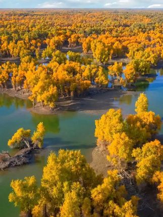 【顺丰速运】九度七0蔗糖冰皮绿豆饼红豆十周年首发新品第4代工艺#九度七 #冰皮绿豆饼