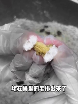 慕慧宠物零食排毛云杉冻干营养美味化毛膏猫草助排毛球添加鱼油慕慧宠物零食排毛云杉冻干营养美味化毛膏猫草助排毛球添加鱼油