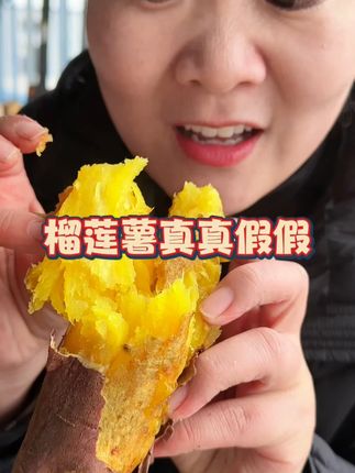 正宗榴莲蜜薯 真假榴莲薯的区别来了,还有姐姐在外面踩雷吗,所见即所得的品质 #烤红薯 #吃货必备 #优质农产品