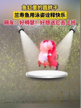 #穿搭 #显瘦穿搭 #小个子穿搭 #夏季穿搭 #裤子 cfjd6