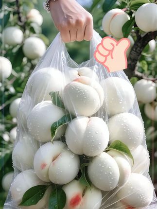 #大人小孩都爱吃 #脆甜多汁 #桃子熟了 #白桃 #图文掘金计划