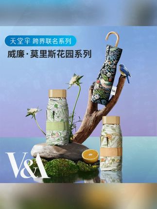 天堂伞VA博物馆联名款便携防晒遮阳伞五折小伞薄款折叠晴雨伞两用#遮阳伞 #便携雨伞 #天堂伞 #联名款 #防晒好物