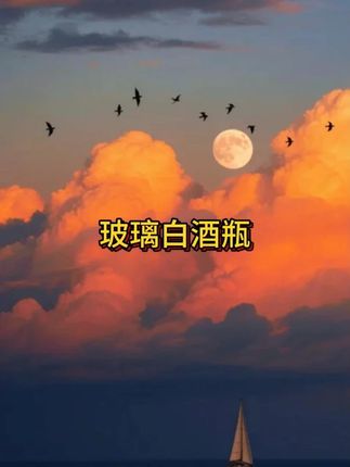 #玻璃酒瓶 #分装瓶#酒瓶#抖音美好丰收节#超便宜超划算#来抖音商城双11领超级补贴 #抖音美好丰收节 #在抖音入手的好东西 #无限回购的宝藏单品