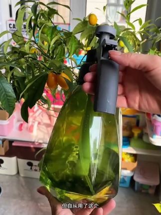 园艺喷壶专用气压式喷水壶浇水壶浇花大洒水壶喷雾器消毒清洁喷雾