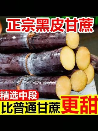 郝劭文推荐 广西现砍黑皮甘蔗9斤精选中段新鲜孕妇水果应当季脆甜多汁甜杆蔗#黑皮甘蔗 #甘蔗 #甘蔗甘蔗 #甘蔗水果 #多汁甘蔗