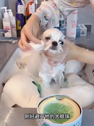 皂兮全犬通用局部清洁去黄红胡泪痕美白皂0添加安全可舔 #泪痕皂 #宠物皂 #宠物用品