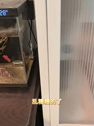 家里杂物太多没地方放怎么办?快来试试我们家的储物柜!它不仅容 真正做到收纳无死角,让你的家干净又整洁。同时我们还配备了多方位的防尘防烟功能,不用担心物品会落灰进虫子。有了我们的储物柜,再也不用担心东西乱糟糟的了,你还在犹豫什么?价格便宜,质量好。赶快点击下方链接下单吧!工厂直销,生产厂家批发。#货架 #置物架 #收纳整理 #精选好物 #收纳盒