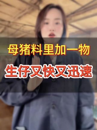 咱们辛辛苦苦养了怀孕母猪四个月,千万不要因为产程异常竹篮打水一场空#母猪产仔 #自繁自养母猪 #仔猪 #所有养猪人