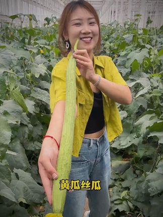 你家的作物出现过这种情况吗?#农业种植 #蔬菜种植 #蔬菜