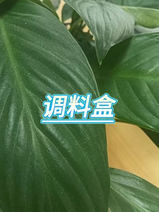 玻璃调料盒套装 #厨房收纳 #调味瓶罐 #密封防潮 #家用调料 #瓶装调料