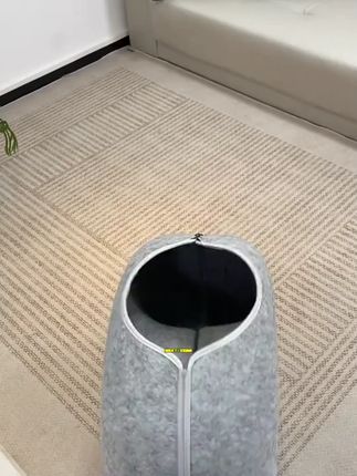 终于买到了一个没有被闲置的猫窝,甜甜圈造型空间很大,几只猫抢着在里面躲猫猫