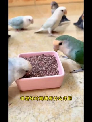 #保健砂 #鹦鹉高端全矿素保健砂沙芦丁鸡鸟食粮红土贝壳粉饲料虎皮文鸟玉鸟#好物分享