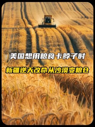 当老美还想拿粮食掐咱脖子,新疆直接上演惊天逆转